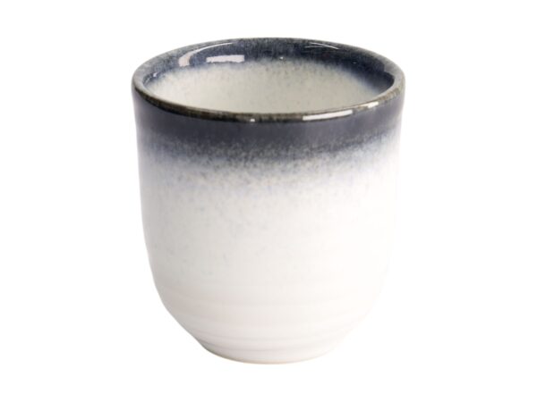 Tokyo Design Studio Šálek Tajimi (Blue/White) 200ml
